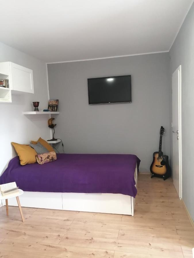 Studio Apartman "Nicole" Pula Dış mekan fotoğraf